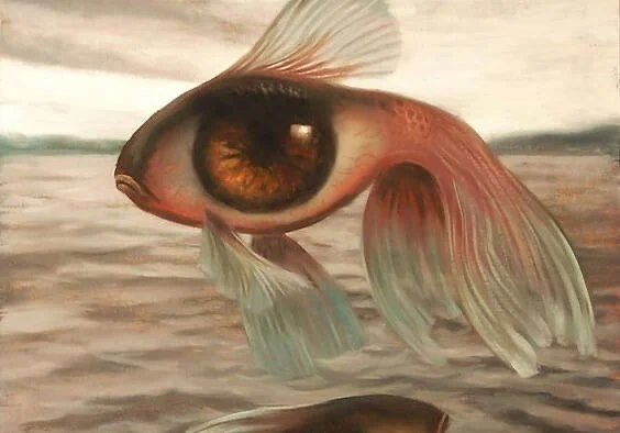 artinkmx's tweet photo. Testoi mirando 👁🐠 https://t.co/CUOxG4WLDq