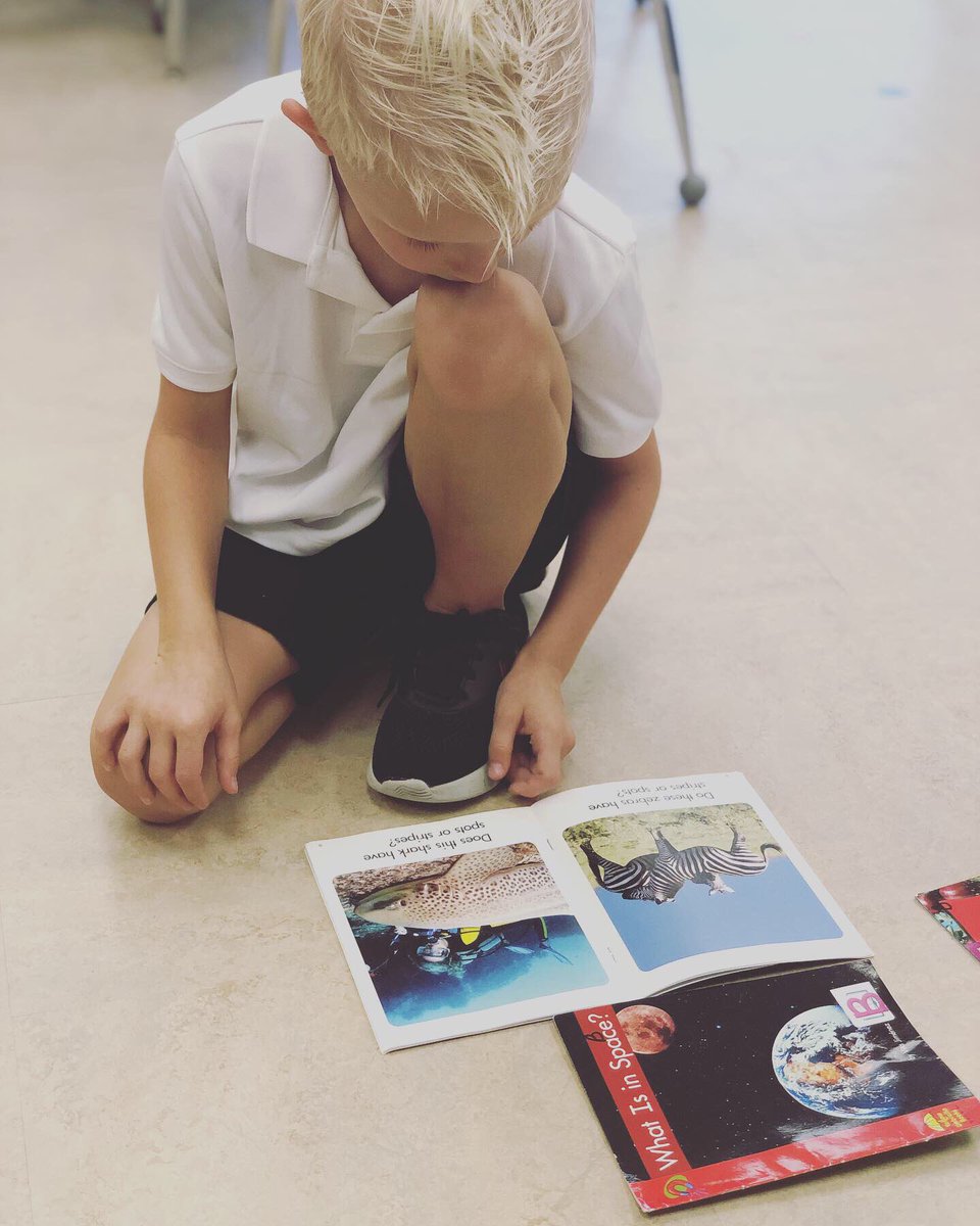 RRA_Raiders's tweet photo. 📚📖Reading Raiders📖📚 https://t.co/gS82ZyPDjN