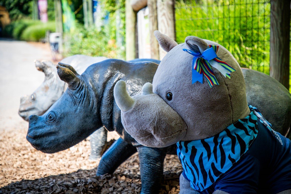 GirlScoutCSA's tweet photo. ONE WEEK left to vote! We need your help naming our new rhino friend: https://t.co/b7TEbuFmNx
She needs a forever home & new best friend! Participate in the #FallProductProgram & be the top entrepreneur to take home our adventurous friend! โก๏ธhttps://t.co/tTkyrMc7ab https://t.co/mVOygY1jZK