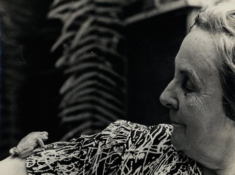 125 anos de Bertha Lutz, Cientista Pioneira na luta pela educação feminina no Brasil. 

bit.ly/2L5GWxX