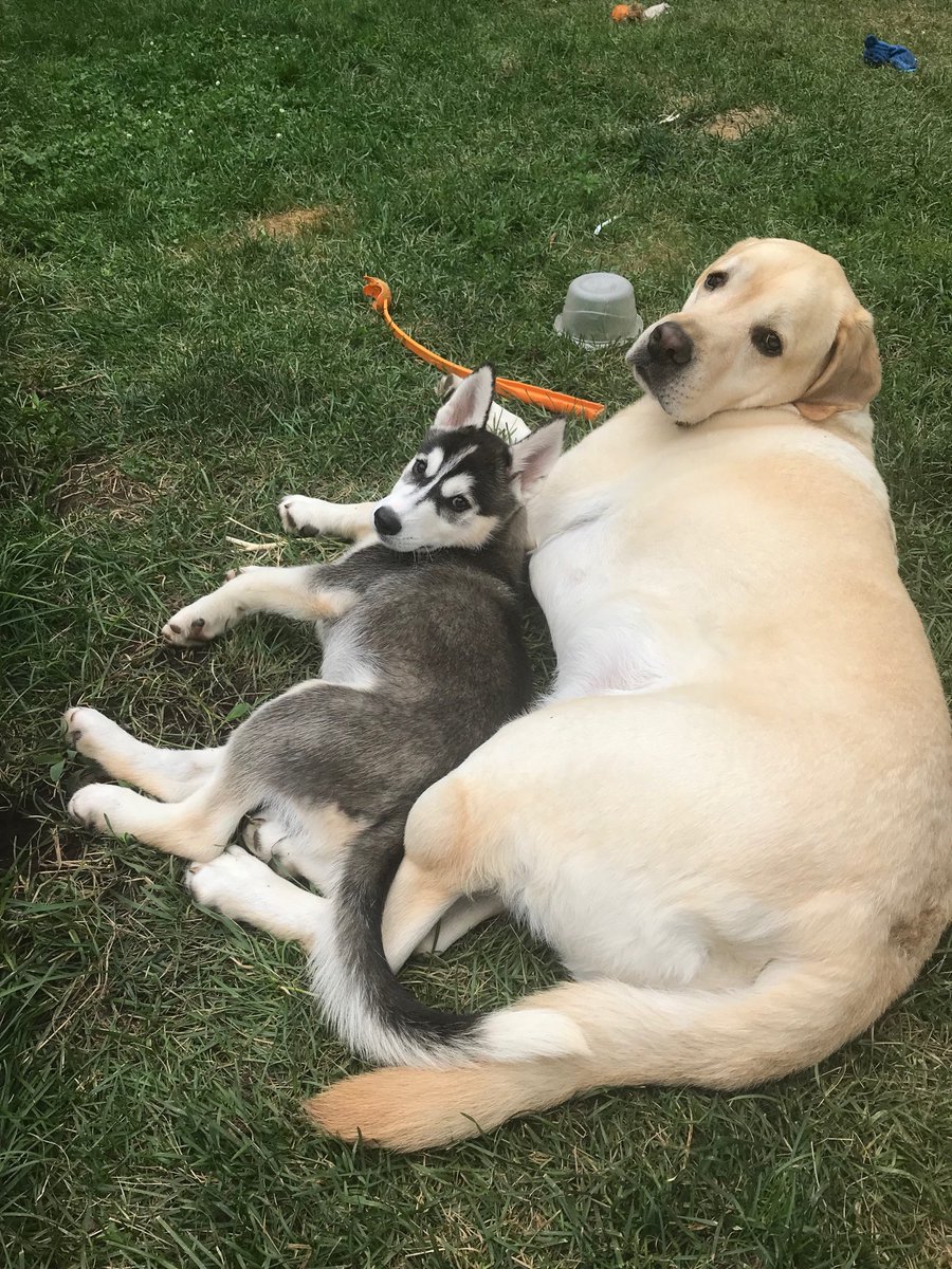 Really?!?! Summer can’t be over yet.