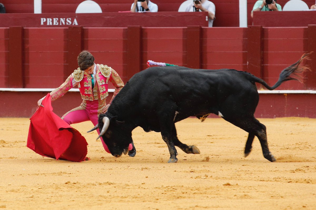 La Malagueta tweet media