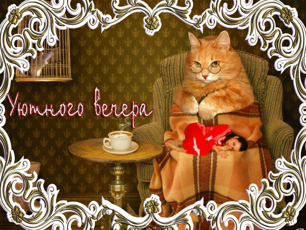 Коллеге, доброго вечера рисунок