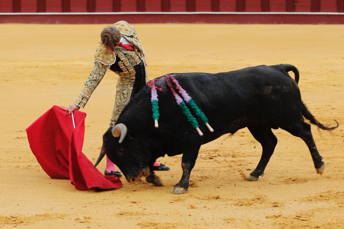La Malagueta tweet media