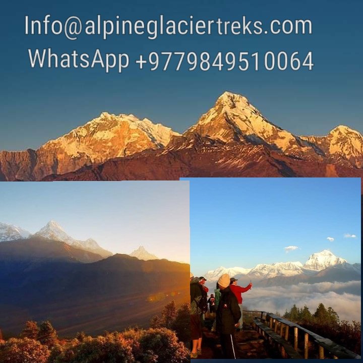 AlpineglacierT's tweet photo. #Takeatrip
#Travelguide
#Familytrip
#Instatravel
#Nepaldiaries
#Thwonder
#besttrekkingcompanyinnepal
#besttrekkingcompany
#trekkinginnepal
#trekkingagencyinnepal
#thingstodoinnepal
#cheaptrekkingcompany
#besttrekkingcompanyinthamel https://t.co/Jxrbt3bvdm