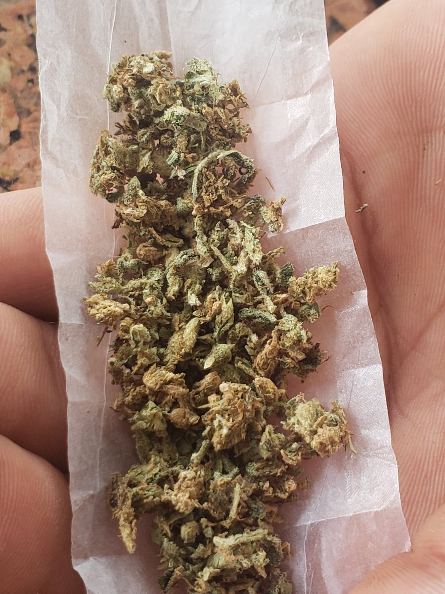 BomdeDosEstevos's tweet photo. Desestressar 🍁🍁🍁🍁 https://t.co/vhGOut52Hk