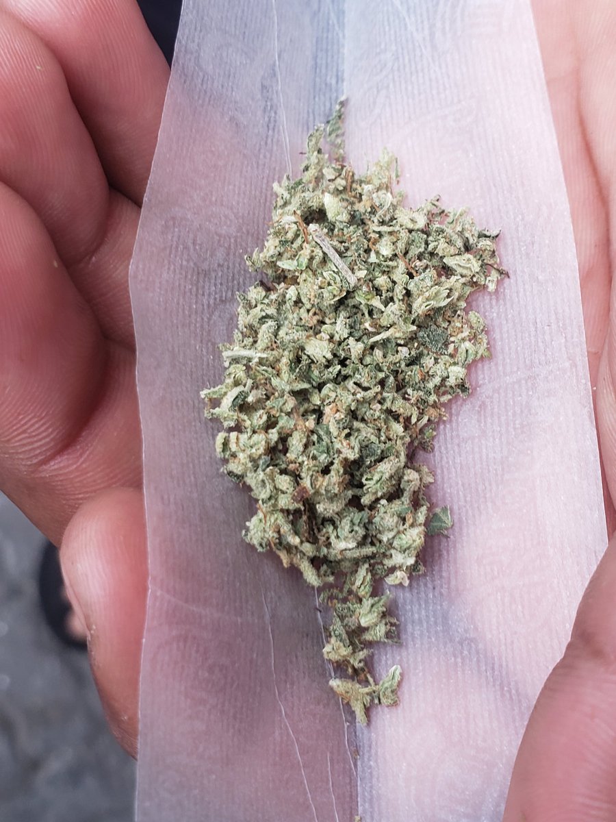 BomdeDosEstevos's tweet photo. Desestressar 🍁🍁🍁🍁 https://t.co/vhGOut52Hk