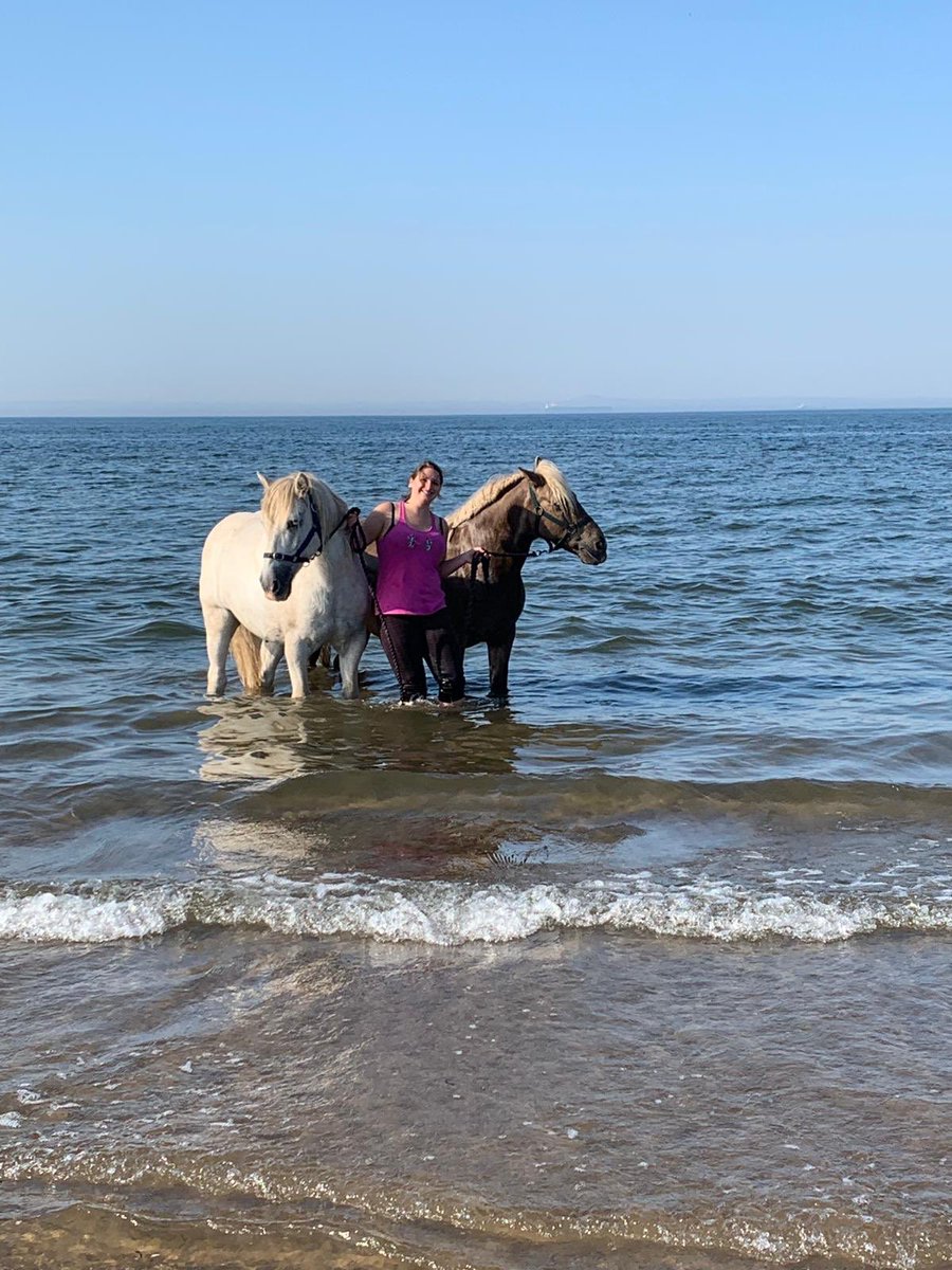 CarolineBaci's tweet photo. Impromptu trip to the beach!! Too many people to ride so we went swimming!! #swimming #horses #SundayThoughts #whataweekend #nosaddle #bareback #ponies #lifeisabeach https://t.co/TnsHv9KMxp