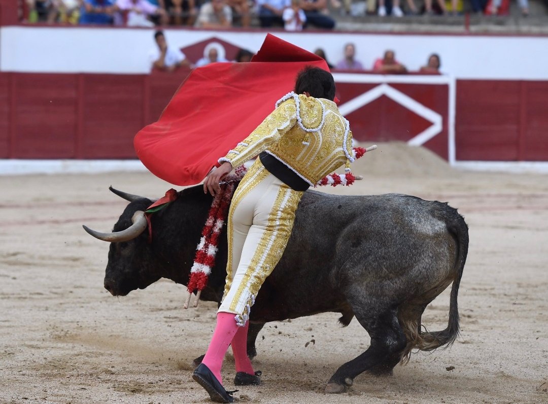 AngelSanchezInf's tweet photo. 🔸 COLMENAR | Silencio para @Angel_Sanchez12 tras lidiar el primer toro de @aadolfomartin ¡Queda otro dentro!

📸 @ColmenarToros https://t.co/jnE7204Ogb