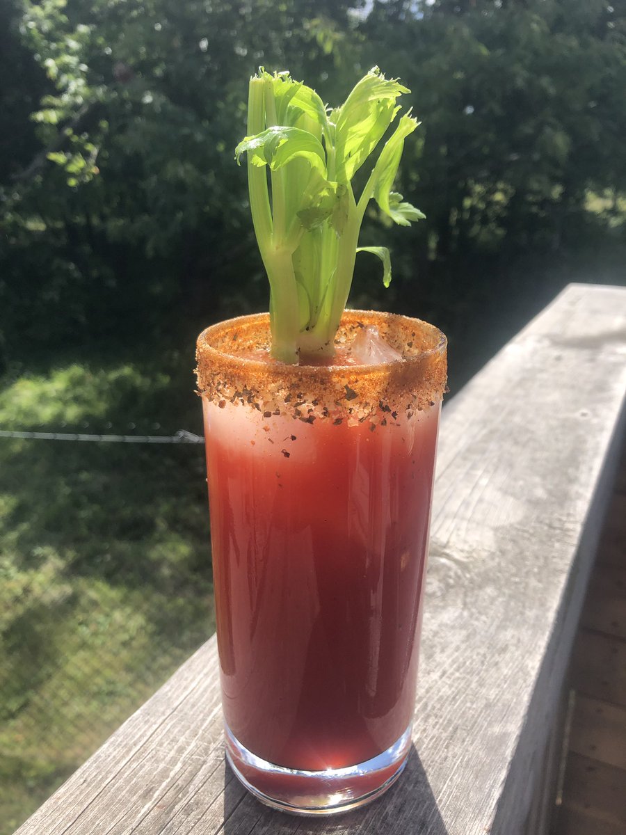zrina_nina's tweet photo. Went to but celery for soup... five minutes later @MottsClamato #canadiancocktail best with @GreyGoose vodka ๐ https://t.co/SwSE52Jn4D