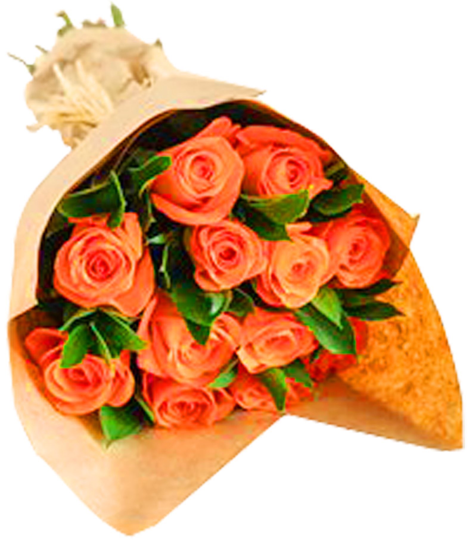 Hey Vince McMahon Happy Birthday. May god bless you with lots of love , happiness and peace   