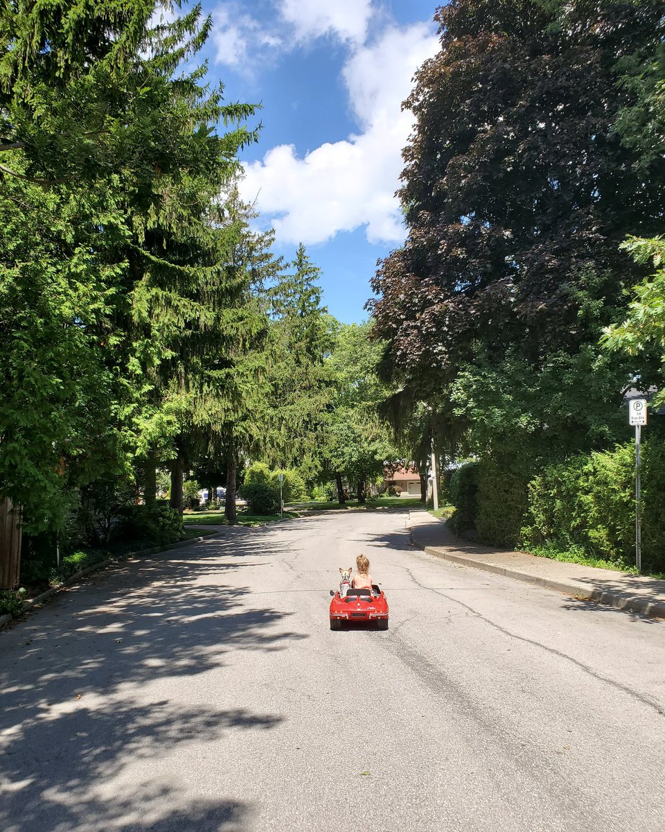 AshleyLeggat's tweet photo. Sunday Drivers https://t.co/Qo1OW97RxQ