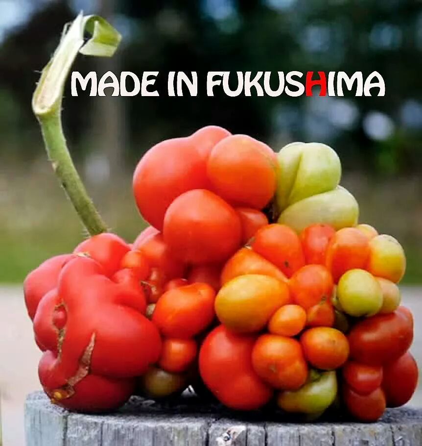 fukumeltdowns's tweet photo. @reinharduhrig @hervecourtois1
#FukushimaFruit From
#RadiationControlledArea
#ReThinkNotReStart
#NoTokyo2020
#Fukushima #Japan
#NoNukes
🍅🍓🍊🍑 https://t.co/wepbT5pRuX