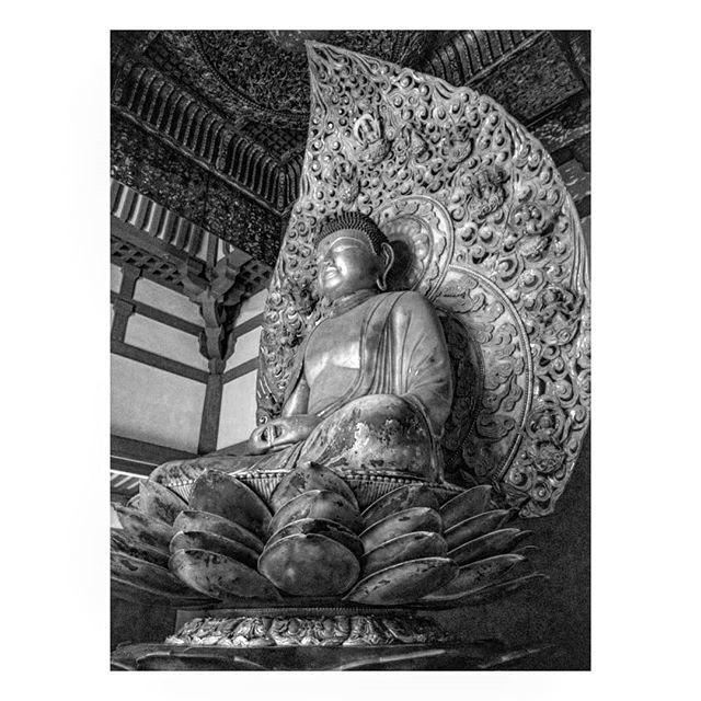 #statue #buddha #bw #sculpture #buddhism #bnw #statues #bw_lover #monochrome #monument #blackandwhitephotography #bnw_society #bw_photooftheday #bw_society #monoart #noir #insta_bw #igersbnw #temple #instablackandwhite #bw_crew #monochromatic #bwstyles_gf #bnw_life #irox_bw …