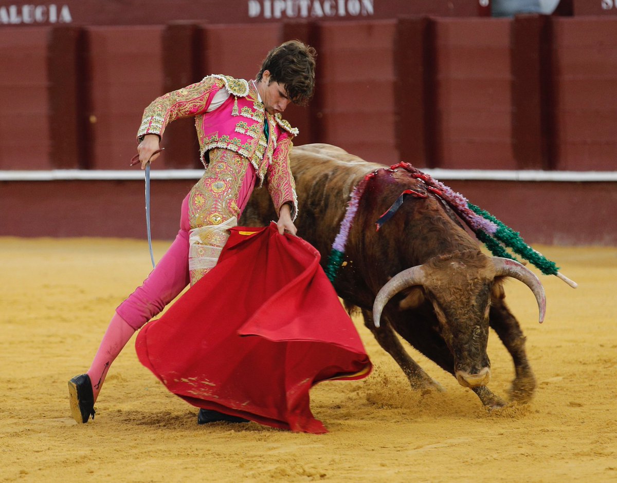 La Malagueta tweet media