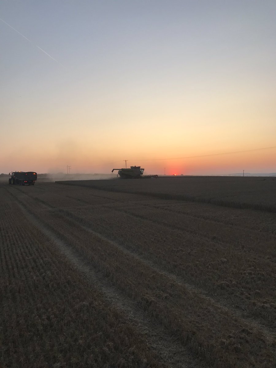 SteveClark1980's tweet image. What An Amazing Sunset Top Of The Wolds ☀️🌾🚜 #wouldntbeanywhereelse