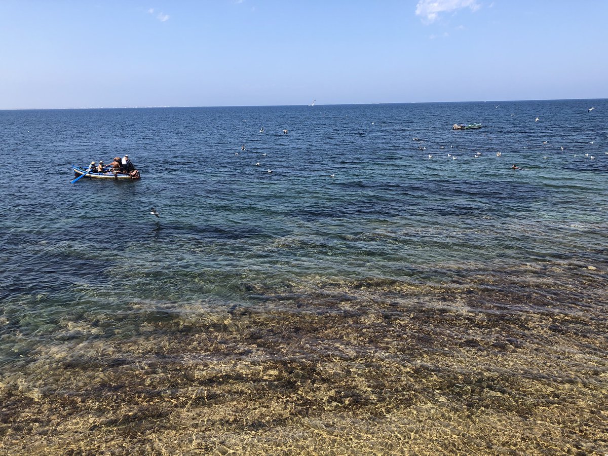 InesBrahim's tweet image. Borj Erras #Mahdia