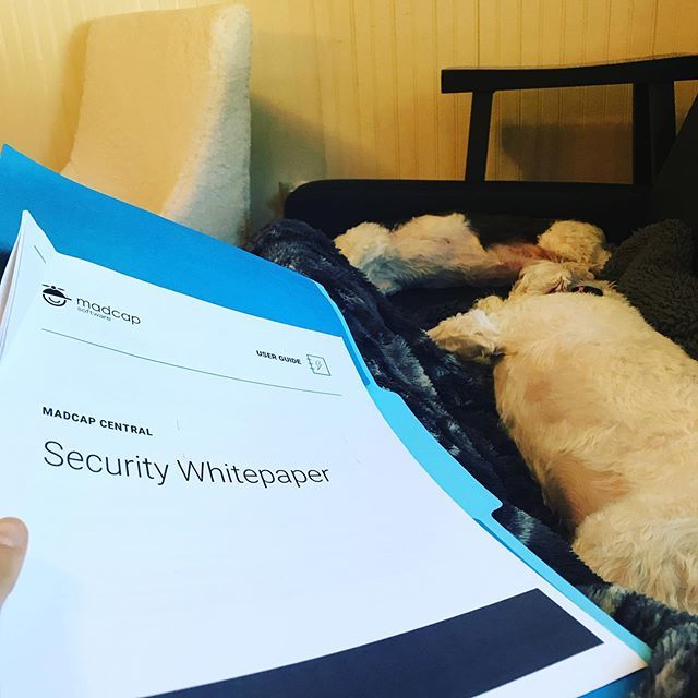 mallarysilva's tweet image. Things could be worse #workingfurmom #madcapsoftware #sundayprep #careerwoman #careerwomen #womenintech #lesbianswhotech #technicalcommunications #techcomm #technicalwriting #techwriting ift.tt/2ZnASKd