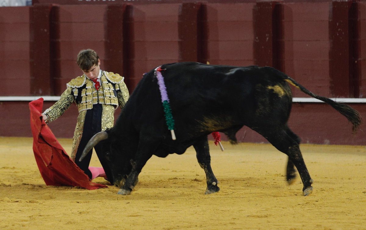 La Malagueta tweet media