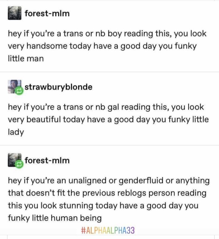 WholesomeMemes (@wholesomememe) on Twitter photo 