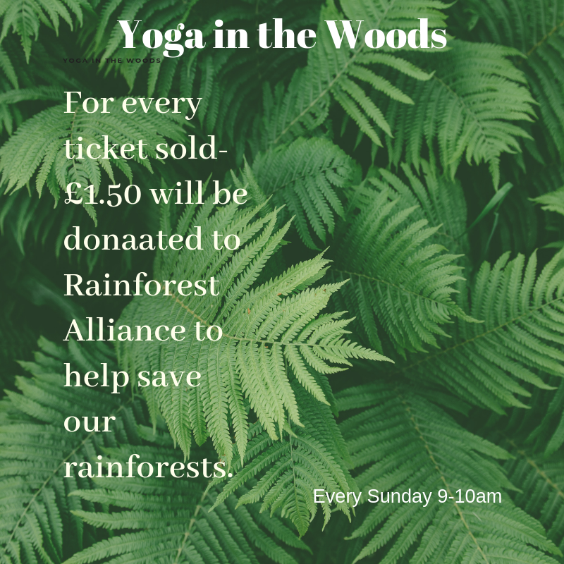 chrissy_yoga's tweet photo. Thats Right! For every ticket sold we will donate £1.50 to Rainforest Alliance to help save our Rainforests. Book your spot here:  https://t.co/wIM2gtanNg

@MuswellHillLive @highgatelondon @Crouch_End @TheArchwegian #saveAmazonia #SaveAmazon #yogainthewoods #highgate #yoga https://t.co/j4IddDa7VE