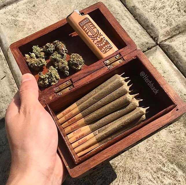 hemptivas's tweet photo. Nice spread! 🌿💚🌿💚 Tag a friend who needs this👇🏽
.
.
.
#hemp #hempflower #hempflowers #cbdhempflower #cannabis #cannabiscommunity #cannabisculture #cannabisdaily #cannabisislife #cbd #cbdflowers #hemptivas https://t.co/aFokxg7w21