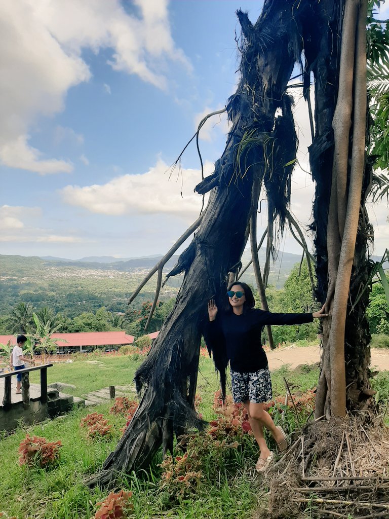shasyaJADE's tweet photo. #budayaminahasa #pohonseho #saguer #exploreminahasa #exploremanado #exploresulawesiutara #manadoindah #ayokemanado #wisatamanado #wisataminahasa #iloveminahasa #akuminahasa #bakakigatal #jalanjalanmanado #jalanjalanminahasa #minahasaindah #manadoindah #tomohon #mahonitomohon https://t.co/JKgMFXIEVu