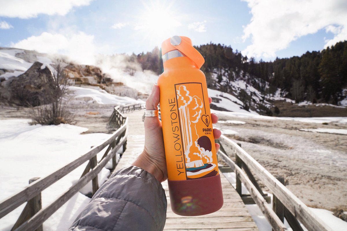 joshua tree hydro flask