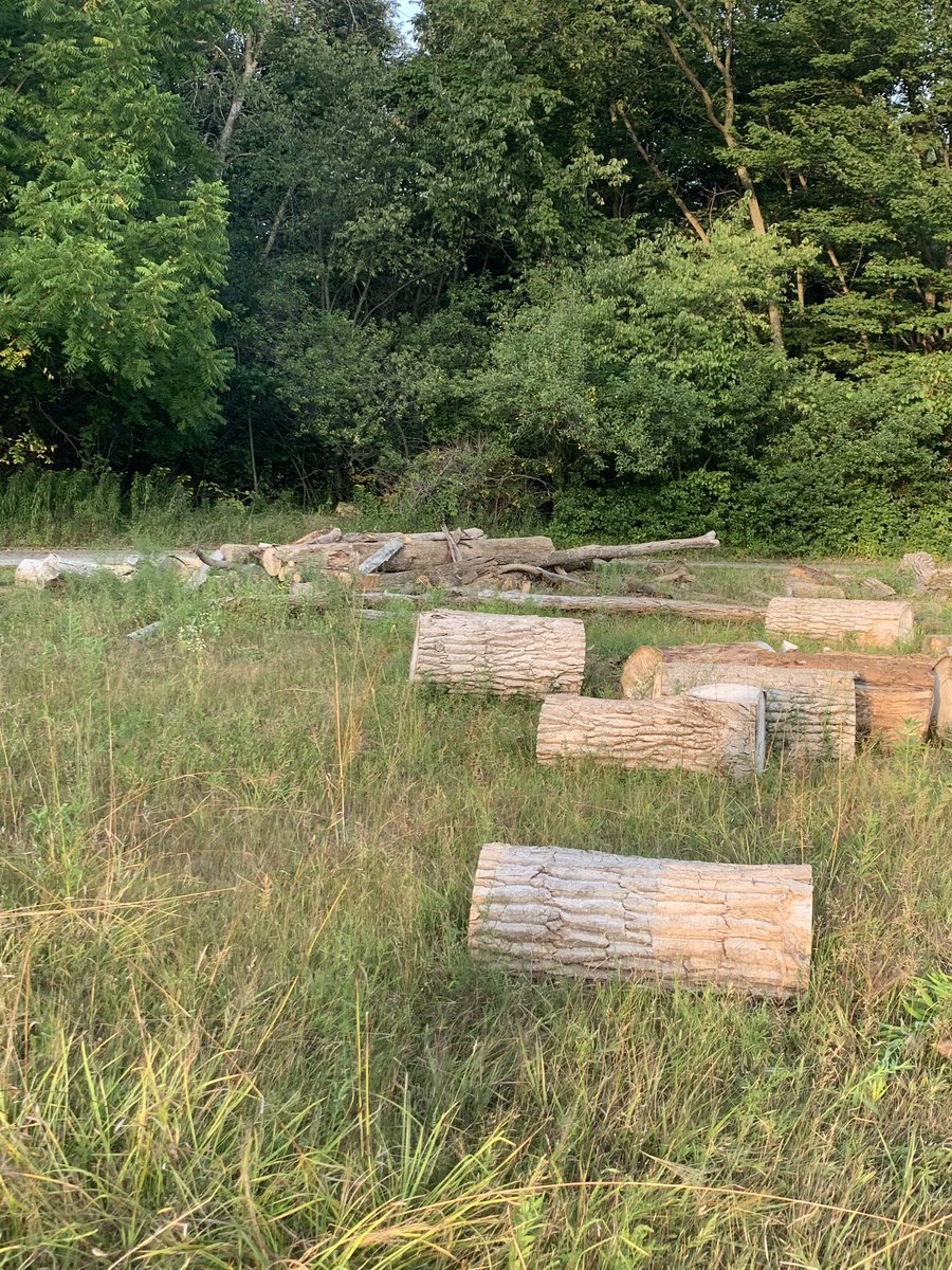 MikuskoV's tweet photo. Thank you Dopp’s and Tina Pretzer.  Final touches on the climbing logs and meadow today! @MistyDopp2nd #bcelrockss https://t.co/HAYsRtmjuU