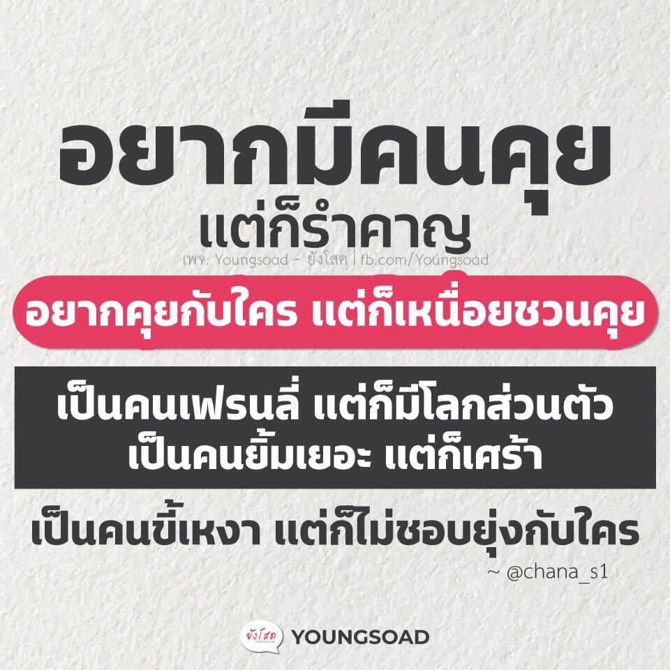 ดาวิญชิ tweet media