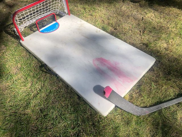 Exciting weekend at the Sylverne house! Baby girl coming in January! #itsagirl