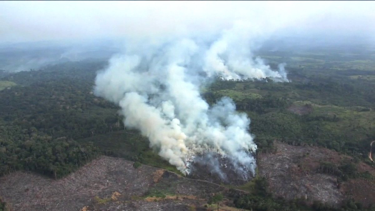 Polícia Federal vai investigar queimadas no Pará. Há relatos de que grupos podem ter organizado incêndios pelas redes sociais no chamado 'dia do fogo': glo.bo/2Lb7HRL #GloboNews