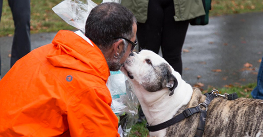 BC_SPCA's tweet photo. LAST CHANCE! Online registration ends Sept 6! #BCSPCA Paws for a Cause presented by Hill’s® Science Diet® isn't just one of the BC SPCA's most important fundraising events, it's a celebration of the bond we have with the animals we love: https://t.co/Avzj7WhWbx
#PawsforBC https://t.co/FKQyXEvXJJ