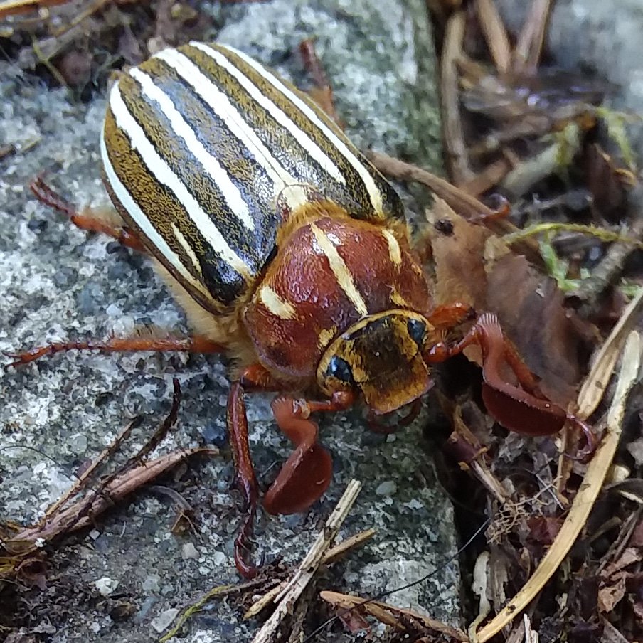 ElizabethOSP's tweet image. My friend says "Chshhh!"