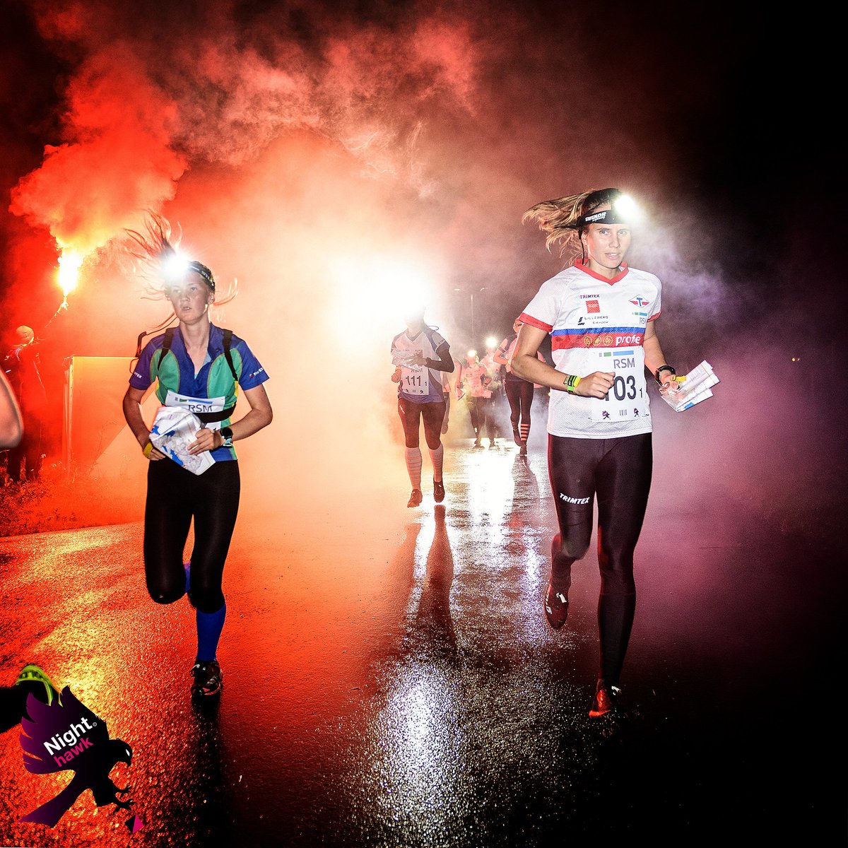 Night Hawk tweet media