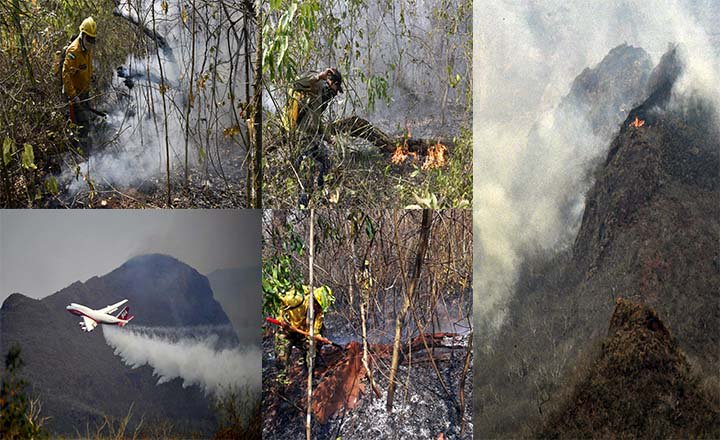 noticias24's tweet image. Incendios en Bolivia arrasan cerca de un millón de hectáreas a pesar de la incursión del SuperTanker - noticias24.com/internacionale…