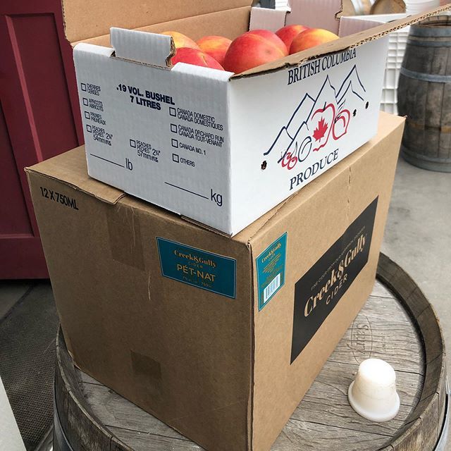 Bellawines's tweet photo. GOOD friends know what to bring to ready ourselves for #bcharvest2019 🥰🙏 Huge love and thanks to @creekandgully for the gift. #ourindustrytakescareofitsown #naramatalove #ALLthebubbles #harvestiscoming https://t.co/Qxw3xKagex https://t.co/N1BQ3LRaDB