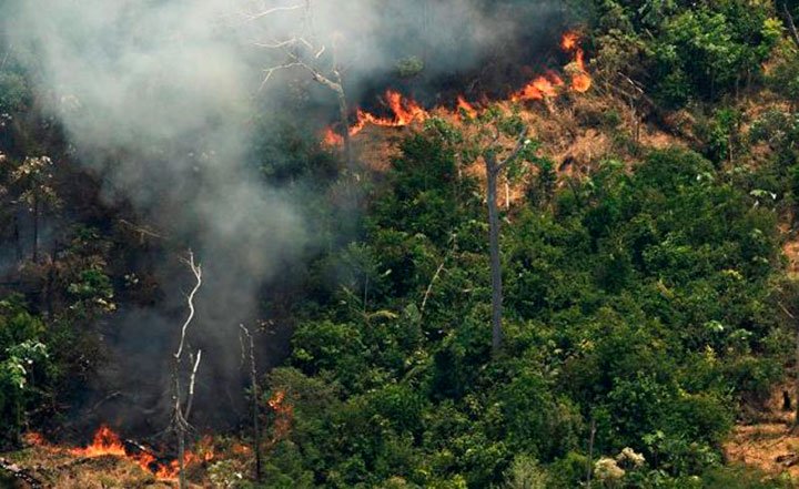 noticias24's tweet image. Combaten los incendios en la Amazonía: Brasil desplegó 44.000 militares en la región
 - noticias24.com/internacionale…