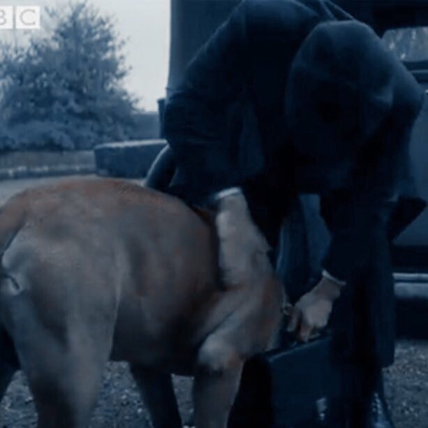 xflorenzistan's tweet image. I’M NOT CRYING, YOU ARE.

#peakyblinders