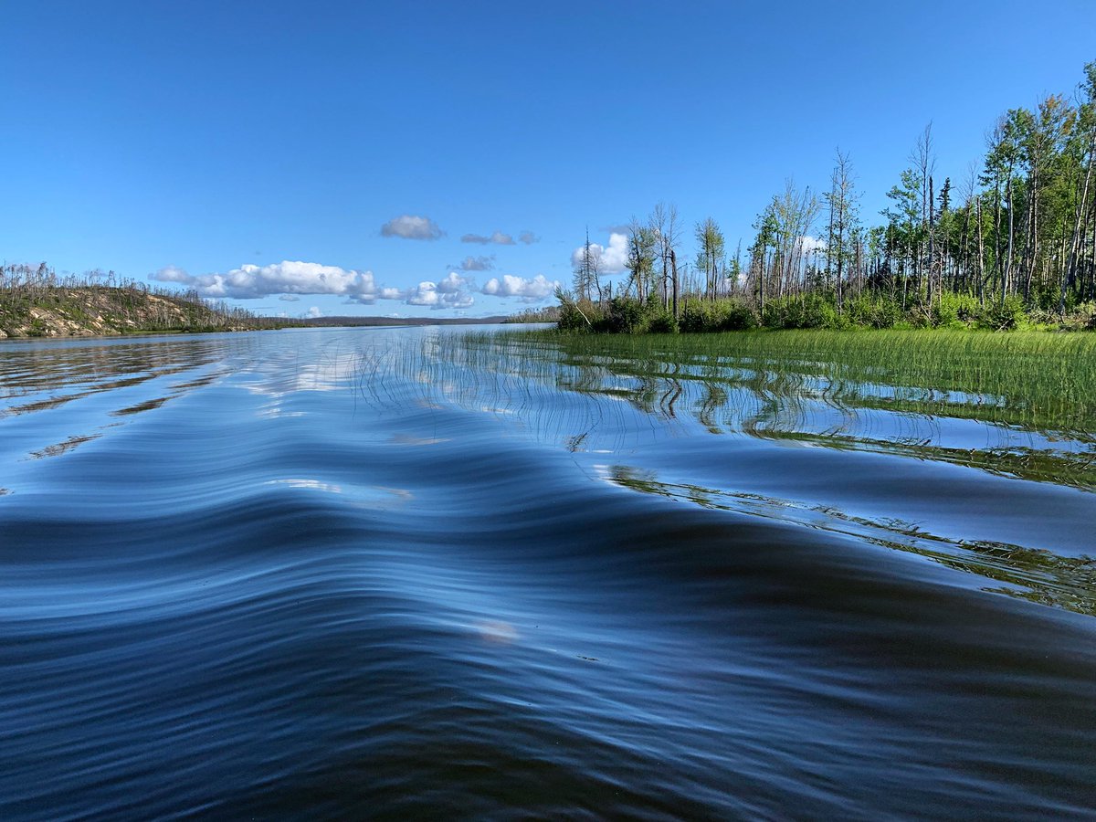 KeXiankun's tweet photo. Summer morning at Nemeiben Lake, northern SASKATCHEWAN. https://t.co/P99wqe9pVs