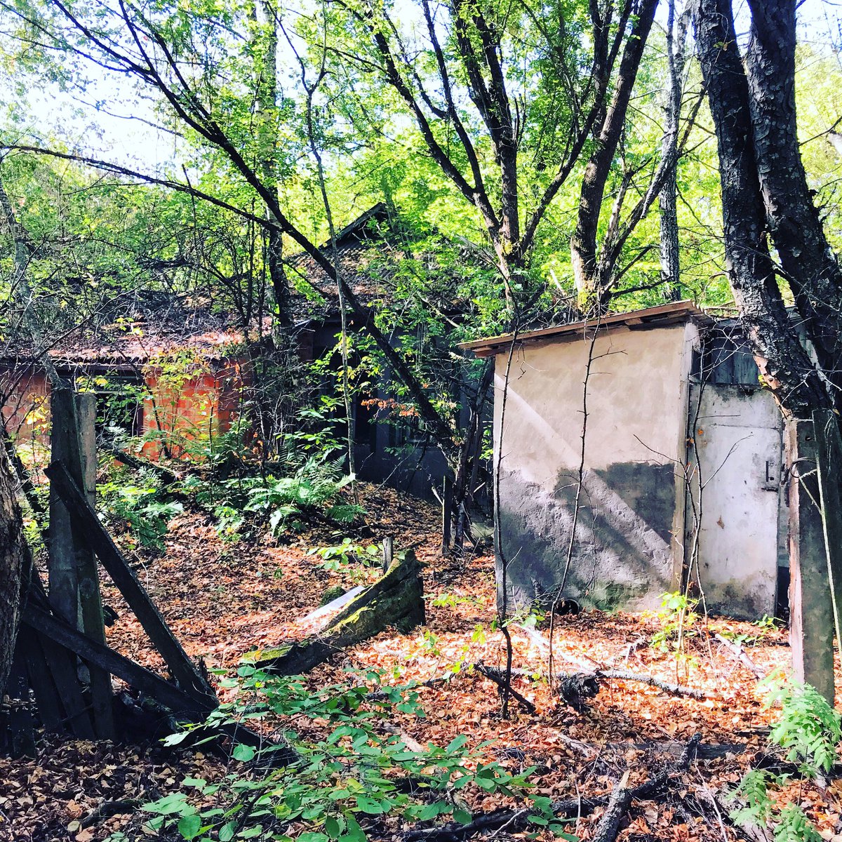 Nous débutons le voyage par la visite d’un village abandonné, Zalissya. Ce village contient un restaurant et quelques maison dans un état de délabrement très avancé. On peut visiter les maisons envahies par la nature (Plus de photos:  http://Instagram.com/nashtagstagram )