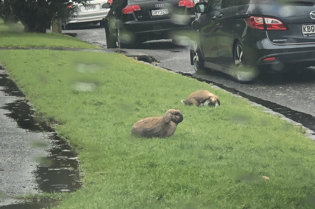 Shaun Edlin tweet media