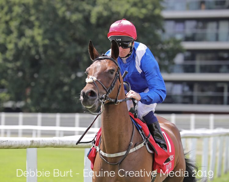 ArabianRH's tweet photo. #Congratulations @JPOwenRacing 🥇#WathbaStallions 🏆 in Duindigt with Mayzoonah @OsheaTadhg and 🥇🥉 in #HHSheikhaFatimaLadies @ifahr C’ship with Jaahez &amp; Tijaary. #Congratulations to 🇬🇧breeders John Elliott &amp; Teresa Kinsey who bred the #HHSheikhZayed 🏆(Gr2PA) 🥉Jaldi Karo. https://t.co/zbHJfXm6DQ