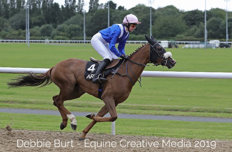 ArabianRH's tweet photo. #Congratulations @JPOwenRacing 🥇#WathbaStallions 🏆 in Duindigt with Mayzoonah @OsheaTadhg and 🥇🥉 in #HHSheikhaFatimaLadies @ifahr C’ship with Jaahez &amp; Tijaary. #Congratulations to 🇬🇧breeders John Elliott &amp; Teresa Kinsey who bred the #HHSheikhZayed 🏆(Gr2PA) 🥉Jaldi Karo. https://t.co/zbHJfXm6DQ