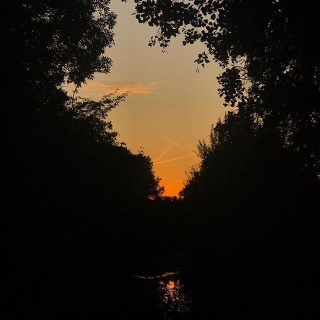 luizmurat's tweet photo. Por do sol no “quintal” de casa. 
#summervibes #sunset #utrecht #utrechtcity #dutch #dutchlife https://t.co/ndfMKAd2yM https://t.co/Ds7LHzuEXg
