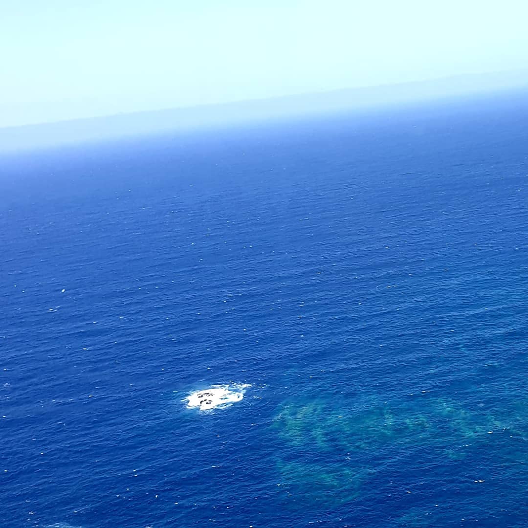 BZelinschi's tweet photo. Something in the water... https://t.co/bFnD3daHKc