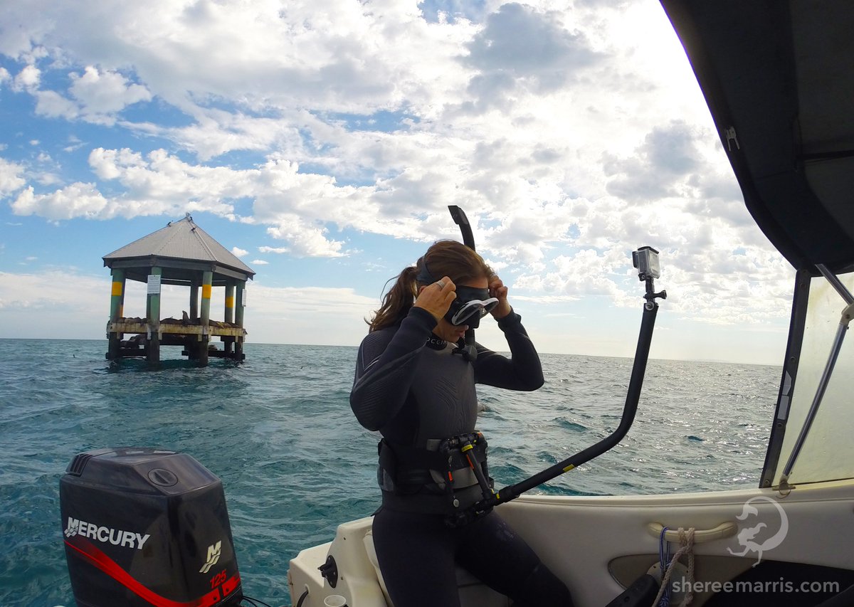 New work dress code... #wangcam