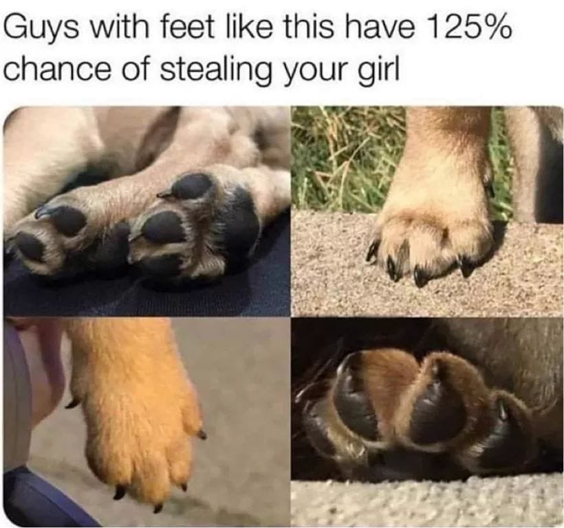 DieselDad tweet media