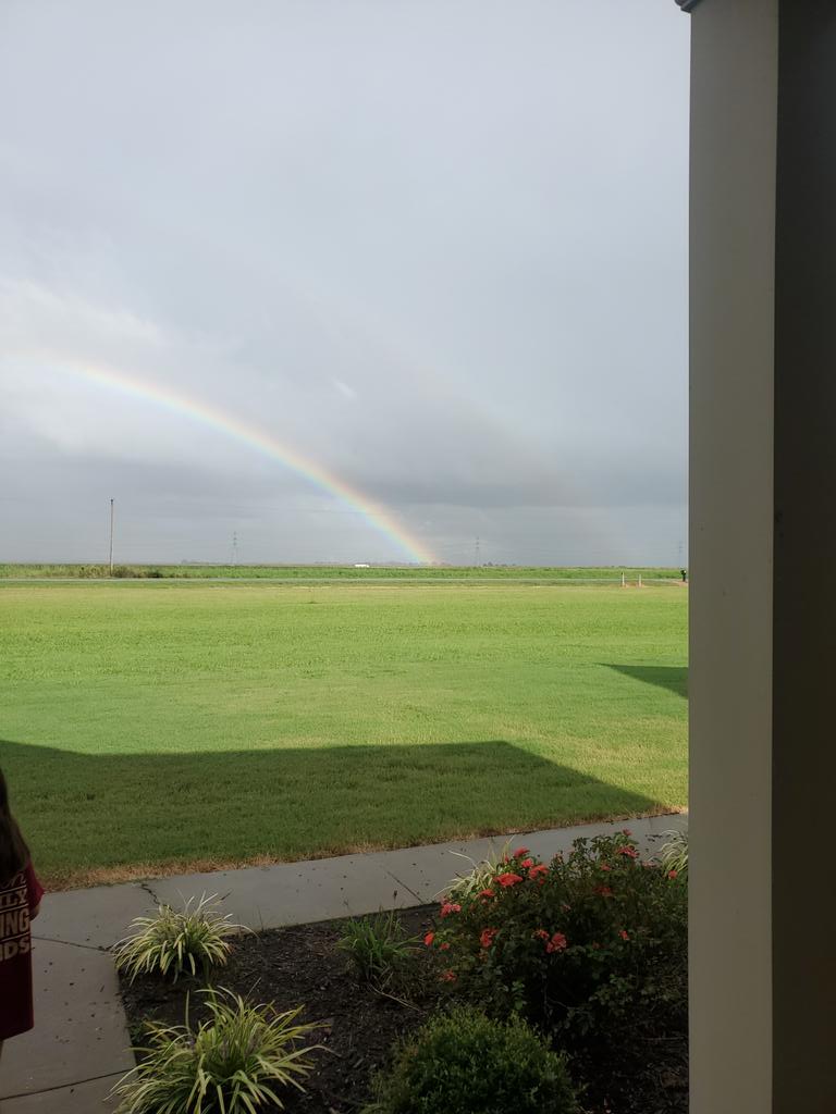 Rainbow ending in one of my corn fields has to be a good sign right?