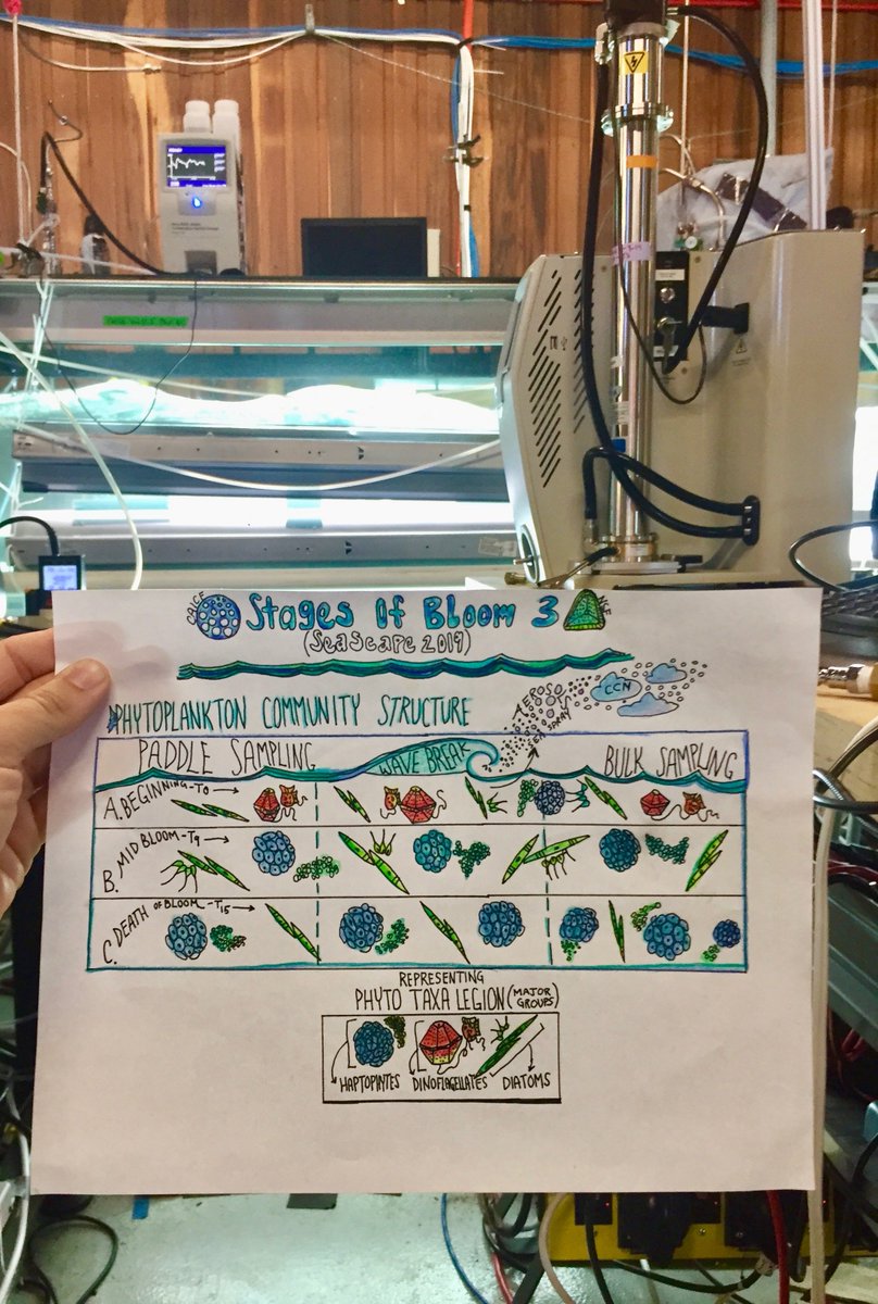 Sarah_Sea_Salt's tweet photo. One of the most enjoyable parts of participating in research topics across oceanography and atmospheric chemistry is incorporating art in to the science whenever I get the opportunity.  Illustrated phytoplankton community structure/ time. @Scripps_Ocean @CAICE_GSSPC https://t.co/jq8p79Du2V